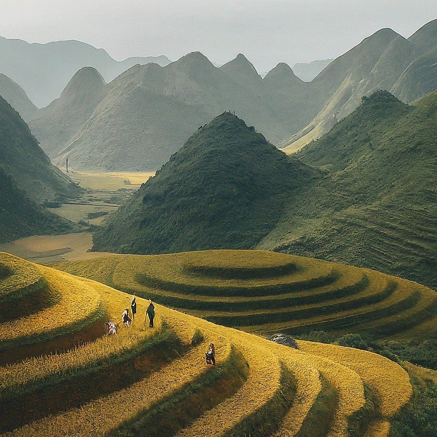 rice field-on_vietnam_mountain